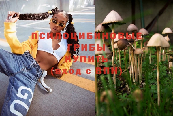 apvp Баксан