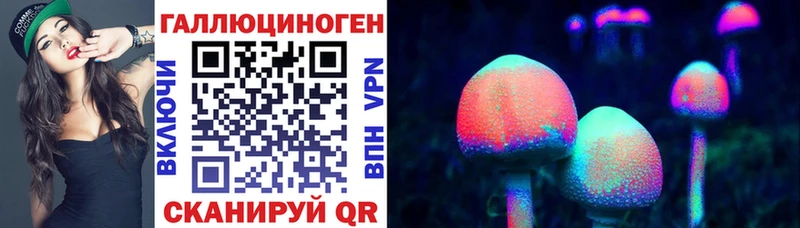Галлюциногенные грибы GOLDEN TEACHER  ОМГ ОМГ   Плёс 